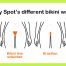 bikini wax basingstoke