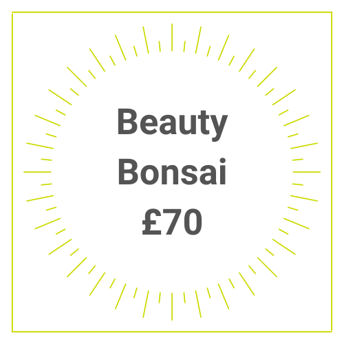 Beauty Bonsai treatment gift voucher